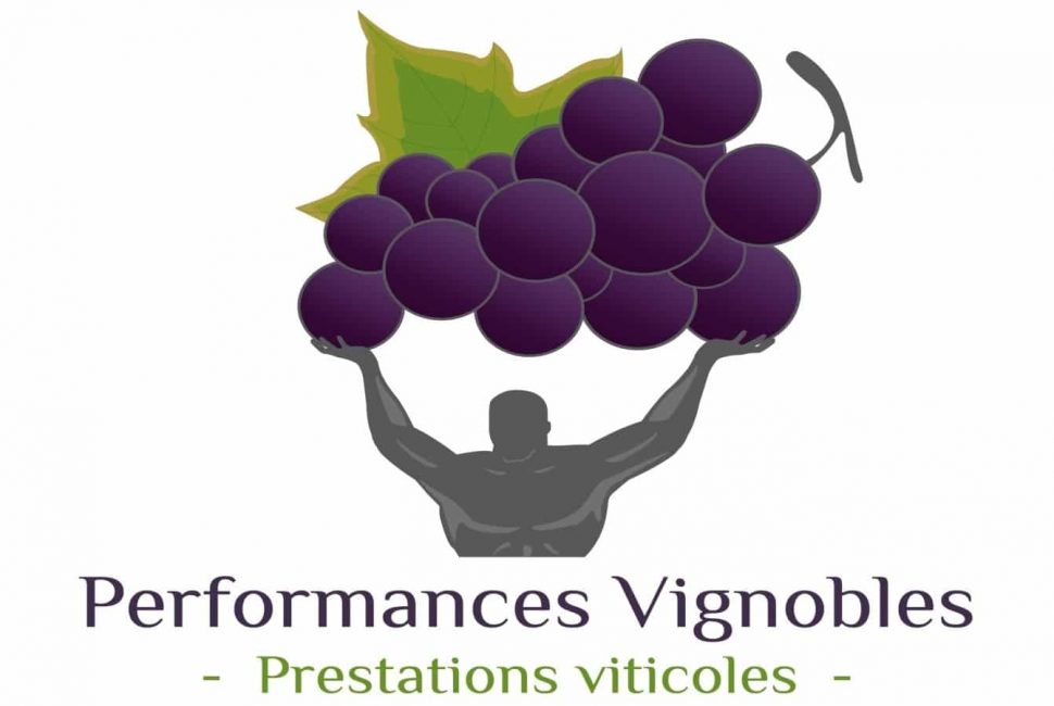 performances vignobles