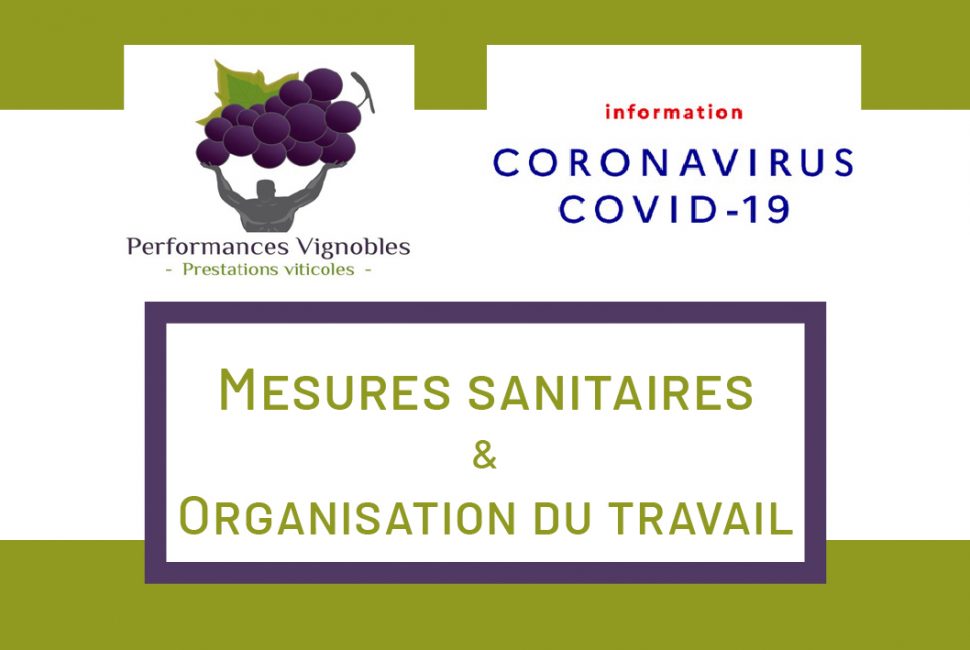 performances-vignobles-mesures-sanitaires-coronavirus